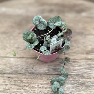 String of Hearts ‘Silver’ 3″