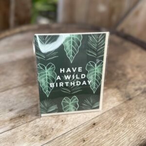 “Have a wild birthday” Greeting Card